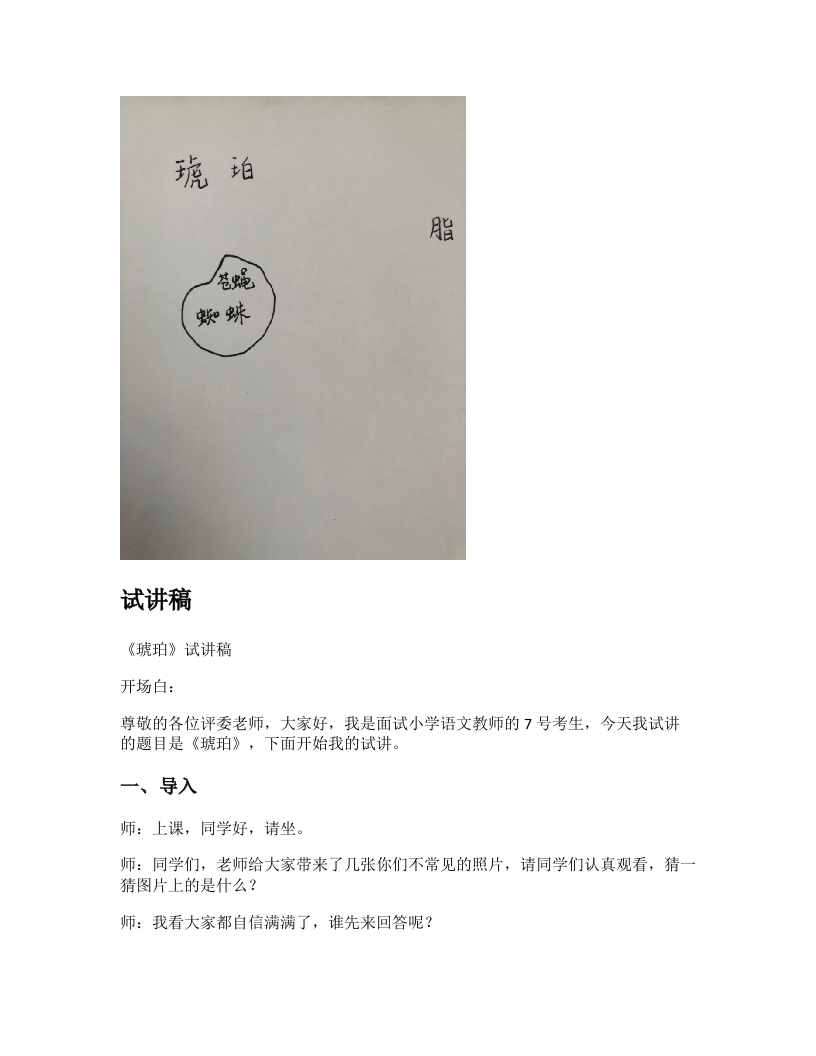 小学语文试讲稿《琥珀》新课标