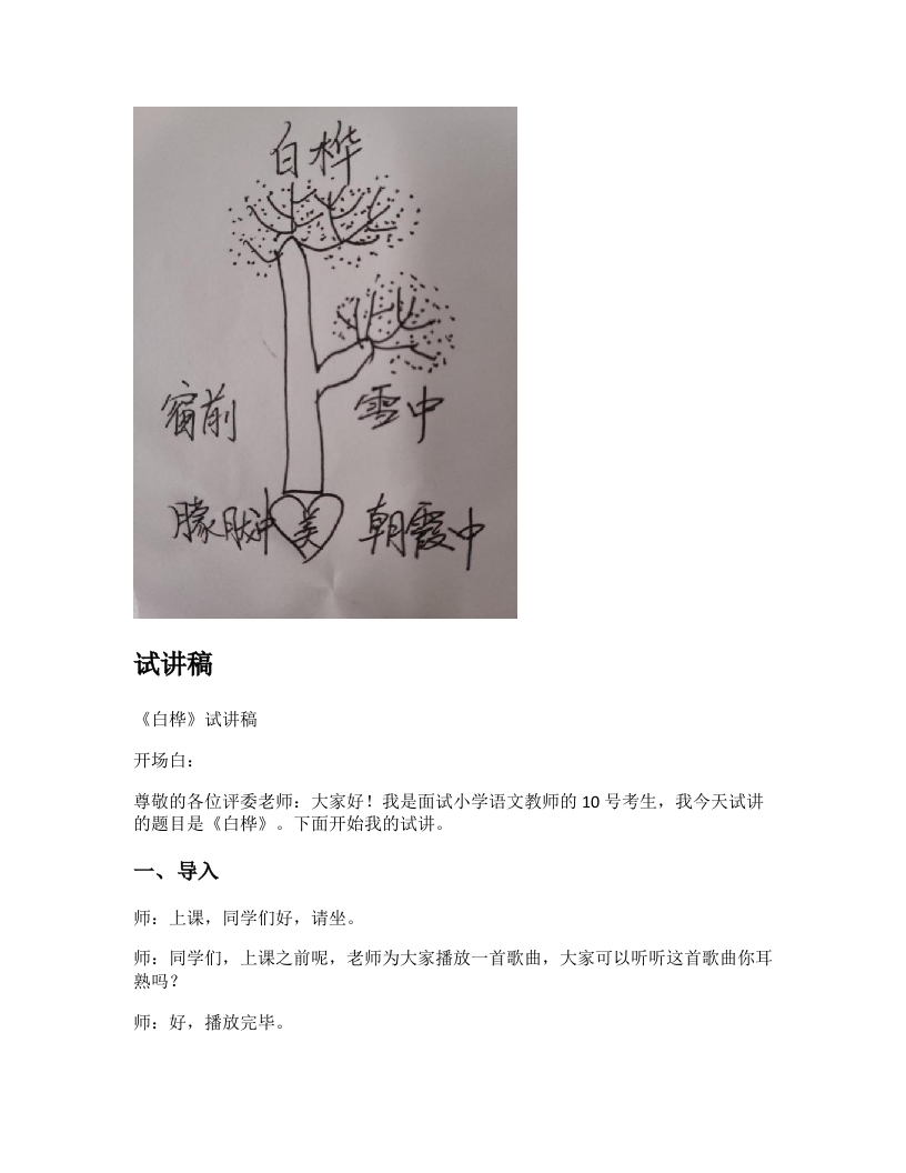 小学语文试讲稿《白桦》新课标