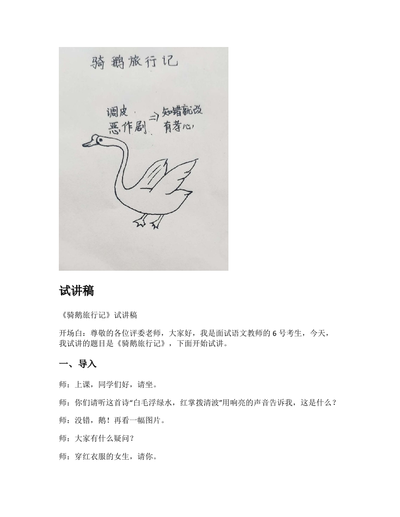 小学语文试讲稿《骑鹅旅行记（节选）》新课标