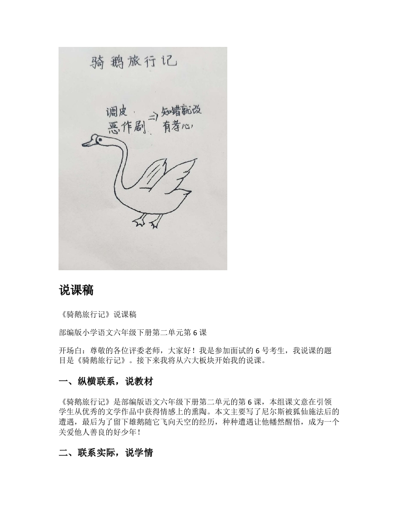 小学语文说课稿《骑鹅旅行记（节选）》新课标-考神资料苑